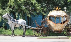 vintage carriage with horse in the park