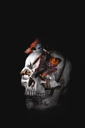 An image produced for halloween, all hallows' eve of a skeleton candy skull human head on a black background, skull has butterfly and flowers