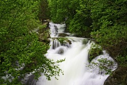 landscape river cascade water green forest