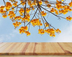 Wood table top With tree yellow flower background