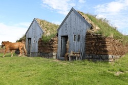 Iceland-Two traditional Icelandic turf houses  