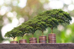 Plant growing  on Money coin stack . Saving money concept. finance sustainable development . economic growth. 