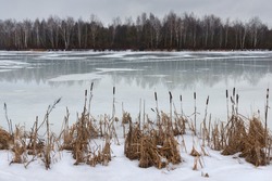 Last Spring Ice.The End Of Winter,The Beginning Of Spring.Landscape With Melting Ice And Reeds At  Shore In Early Spring Or Late Winter.Surface Of Lake,Covered With Melted Ice And Yellow Reed.Belarus
