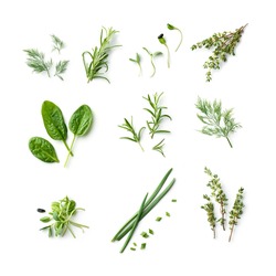 fresh herb and spices isolated on white background, top view