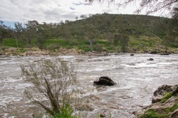 The Bell Rapids landscape where the Avon and Swan River meet in Brigadoon in the Swan Valley region in Western Australia/Bell Rapids: Lush Riverbank/Brigadoon, Swan Valley Region, Western Australia