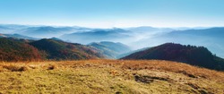Panorama of a view of hills of a smoky mountain range covered in white mist and deciduous forest under blue cloudless sky on a warm fall day in October. Carpathians, Ukraine