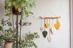 Macrame leaves wall hanging in yellow, white, green and natural color on the wooden stick. Cotton rope decor macrame to make your room more cozy and unique. Close up