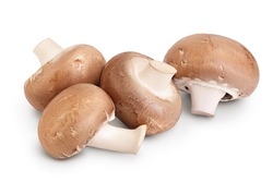 Royal Brown champignon isolated on white background with clipping path and full depth of field