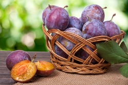 plum in a wicker basket on the wooden table with sackcloth and blurred green background