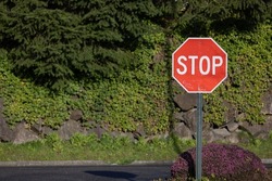 Stop sign, red in color, scratched up sign, green color vibrancy and purple bush.