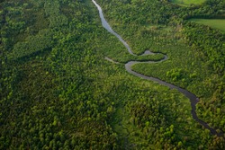 Aerial view of a winding river surrounded by green forest