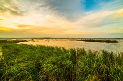 The vast marsh at sunset in the park, one of Thailand.