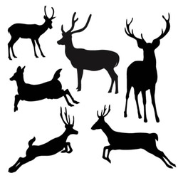 deer silhouette.vector.illustration