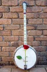 White old banjo against a brick and a red rose, musical instrument