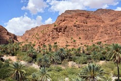 The beautiful gorge of Ait Mansour with its countless date palms is located in the Anti Atlas south of Tafraoute in southern Morocco