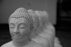 Lord Buddha statue in a temple