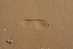 a sandy beach marked with footprints