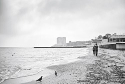 Art photo. A couple in love, in jeans and T-shirts, is walking along the seashore, pigeons and seagulls live around. Buildings are visible in the distance. Black and white photography.