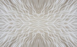 abstract background macro image of Sajor-caju Mushroom