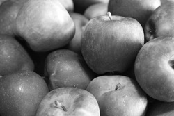 Blackandwhite photos of apples from Greece