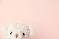 Teddy bear on pastel paper background