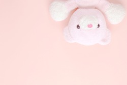 teddy bear on pastel background