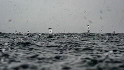 Rain drops into the endless ocean, close up. It briefly bounces back to the air after it hits the sea surface.
