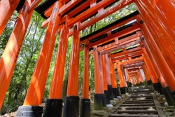 Thousands of Torii with stone steps, Fushimi Inari Taisha Shrine, Kyoto, Japan.