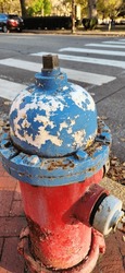 Blue and Red Old Fire Hydrant with chipping Paint and crosswalk in the background