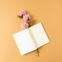 Minimal layout made with flowers and a book cover against earth tone background. Creative copy space.