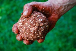 Protein ball in hand, bait for fish. Fishing ball for carp. 