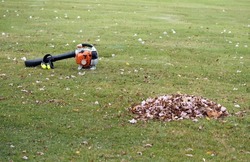 Yard work, pile of leaves with a leaf blower, ear muff for dB level safety.