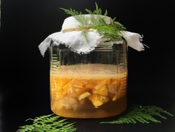 Pineapple fermentation with sugar and water in glass bottle  for kombucha tea, black background.