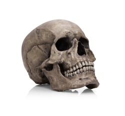 Human skull, isolated