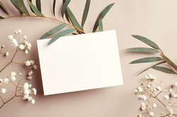 Wedding invitation card mockup with natural eucalyptus and white gypsophila plant twigs. Blank card mockup on beige background.