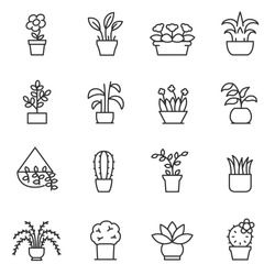 House plants icon set. Flower in pot linear design. Line with editable stroke