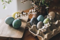 Happy Easter! Easter eggs on rustic table with cherry blossoms. Natural dyed colorful eggs in paper tray on wooden board and spring flowers in rustic room. Moody atmospheric image