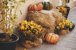 Pumpkins with  flowers and rustic hay decoration outdoors. Stylish autumn decor of exterior building. Pumpkins with rural decor on haystack in street
