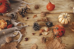 Autumn still life. Cute pumpkins, autumn leaves, cones, walnuts, cozy scarf on rustic wooden table in farmhouse. Fall in rural home. Happy Thanksgiving. Fall banner