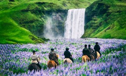 Tourists ride horses at the majestic Skogafoss Waterfall in countryside of Iceland in summer. Skogafoss waterfall is top famous natural landmark and travel destination place of Iceland and Europe.