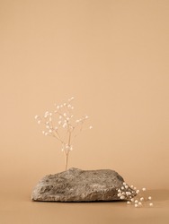 Mockup geometric shape podium. Stone shape with gypsophila flowers over pastel beige background. Can use as perfume and cosmetic mock up. Copy space. Vertical. Natural rock podium