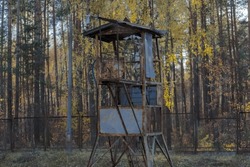 A surveillance tower near the tracks in the forest. The quite corroded steel tower contains many surveillance cameras.A railway line in a pine forest - leading to the steelworks.