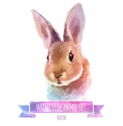 Vector set of animals. Rabbit hand painted watercolor illustration isolated on white background