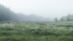 Foggy Landscape With Forest And Field