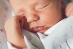Newborn baby sleeps peacefully. Gentle innocent baby lies on light baby cocoon, closeup portrait at home
