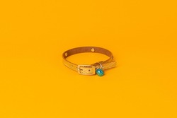 Dog and cat leather collar on yellow background