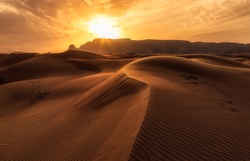 The Arabian Sunset