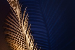 Glamor Golden tropical leaves and shadow on dark blue background, art deco style, selective focus.