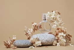 Round Perfume bottle mockup on beige background. Pebble podium and dry hydrangea flowers. Natural earthy colors, copy space