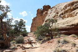 Rockformation in Capitol Reef National Park in Utah. United States